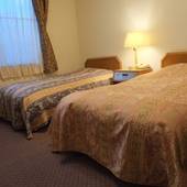 日光温泉 ホテル 清晃苑（栃木県 旅館） / 5