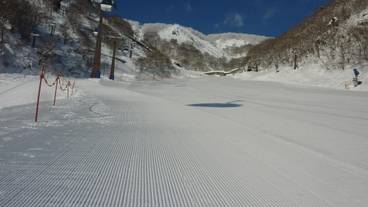 スノー スポーツとスキー / 1