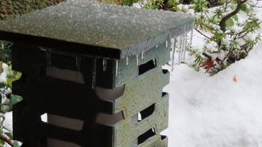 敷地内の自然⑤ / 24