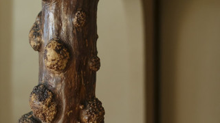 和室 ファミリールーム ガーデンビュー 『竹』