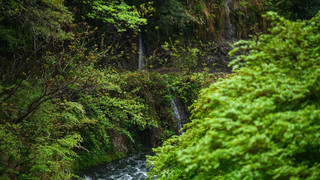 [渓流眺望]サウナ＆源泉露天風呂付き洋室ツイン(2025年誕生)