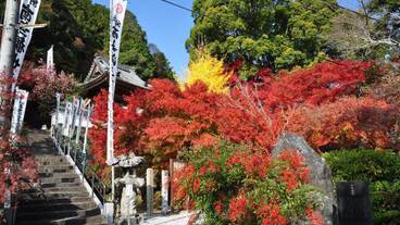 シティ ビュー / 7
