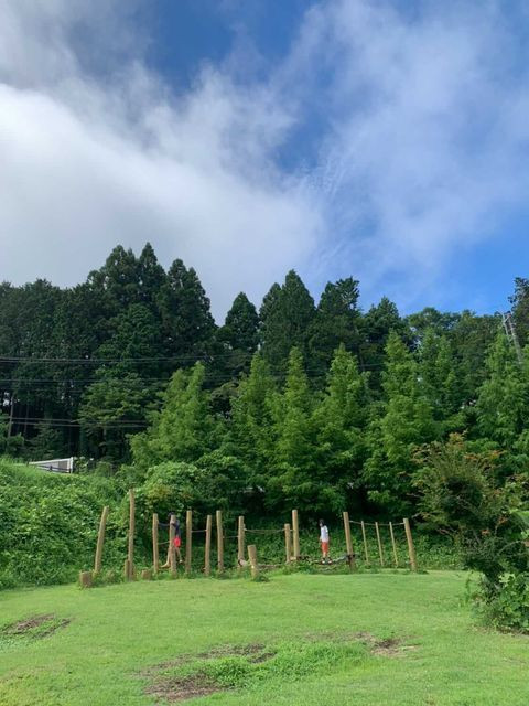 y_bo_ssaさんの写真 / 1