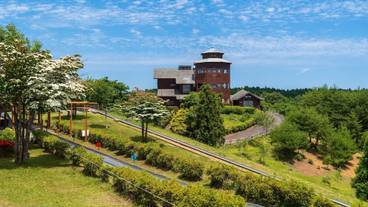 子供向けアクティビティ / 7