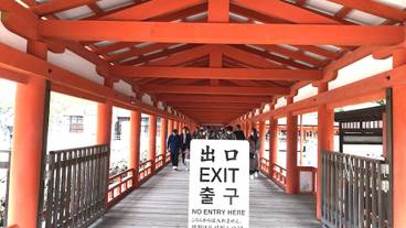 観光スポット / 32