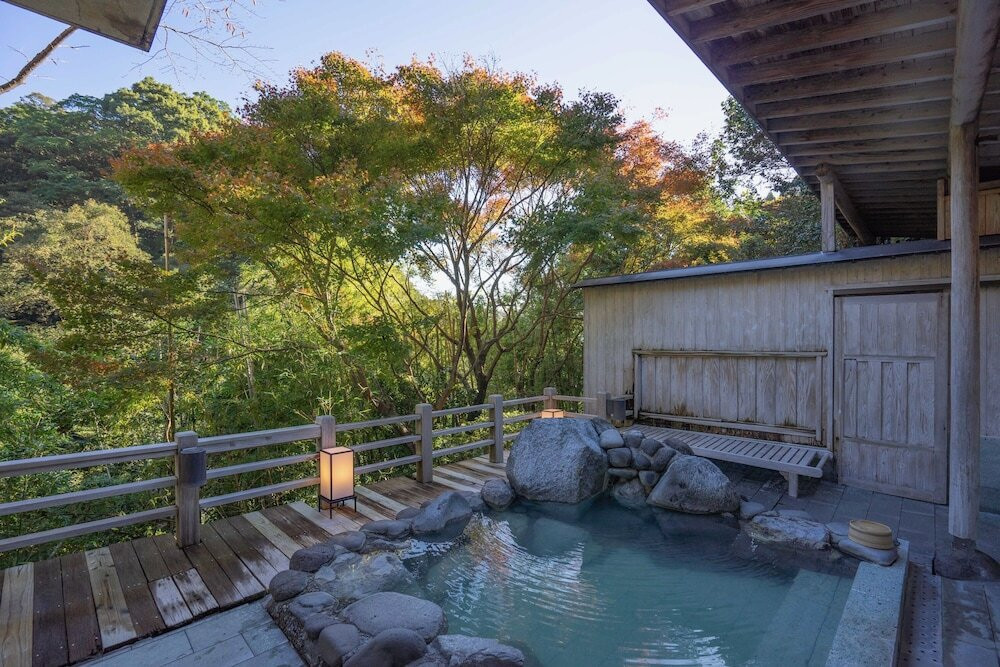 森林浴気分！2種類の温泉をじっくり堪能3450181