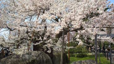 観光スポット / 4