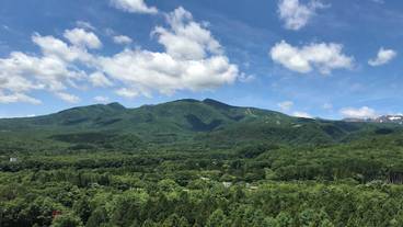 部屋からの景観 / 28