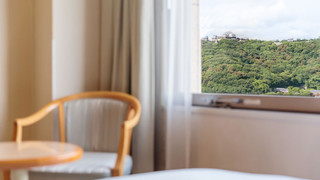 スタンダードツイン キャッスルビュー 喫煙可 (22.62 sqm)