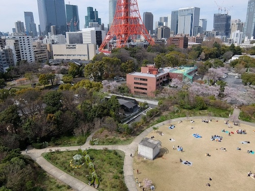 一日中東京タワーを眺める日があっても良いと思うの(*^O^