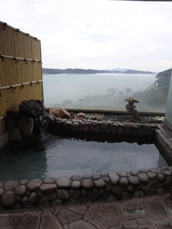 透明感抜群！呼子のイカを部屋食で堪能4760215