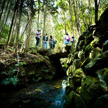 自然と歴史が感じられる「熊野古道体験」3725005