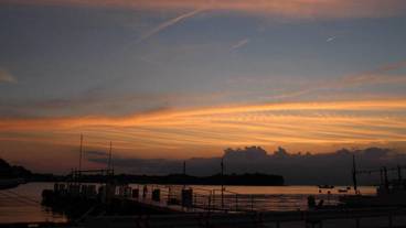 ビーチ / オーシャン ビュー / 15