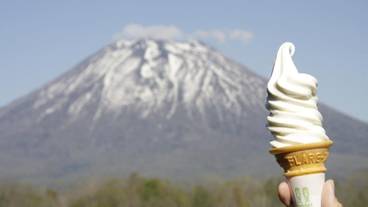 施設の敷地 / 18