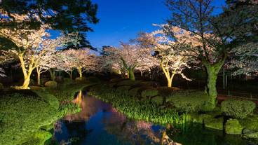 観光スポット / 9