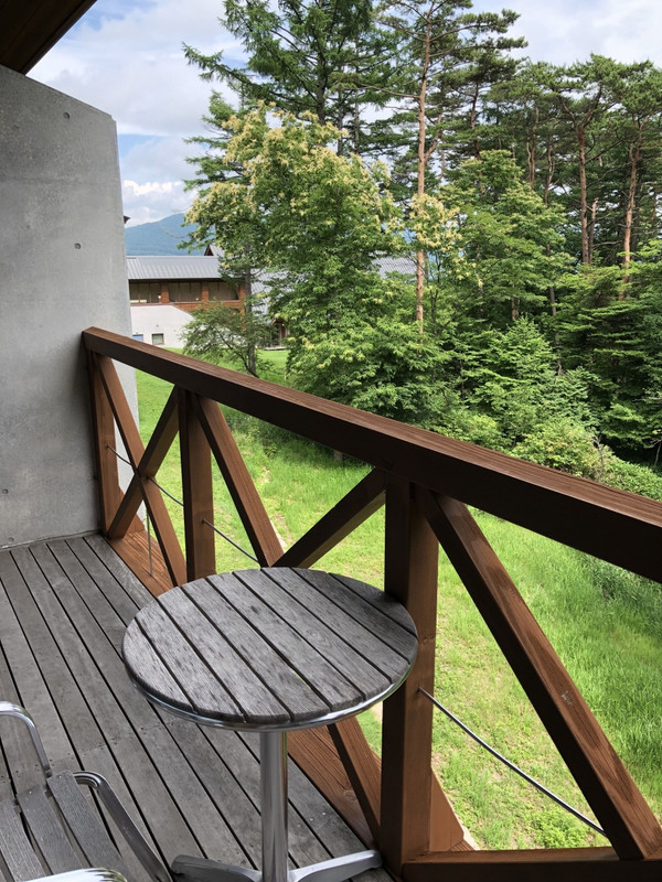 客室からの眺め