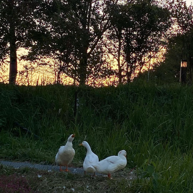 seablue.777さんの写真 / 1