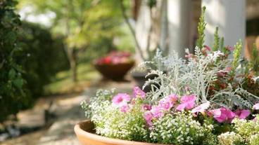 施設の敷地 / 17