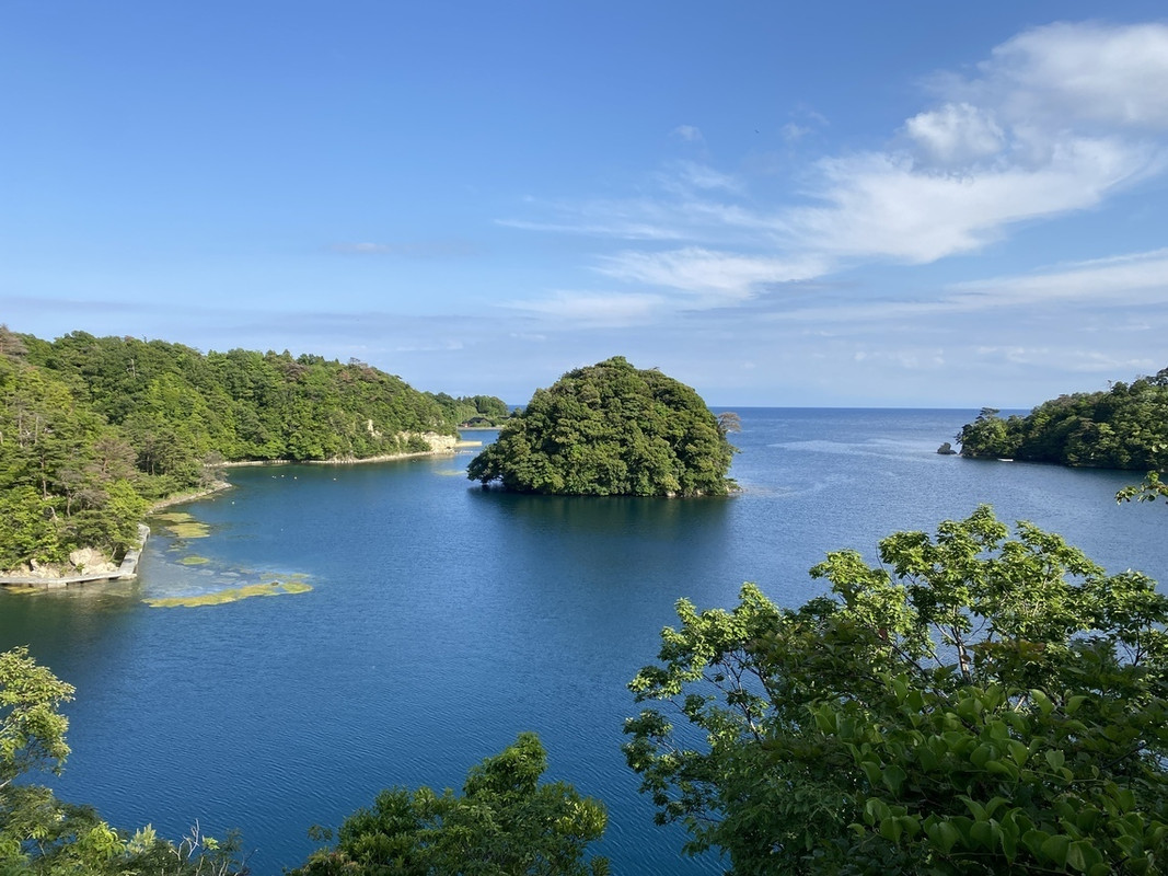 敷地内からの眺望