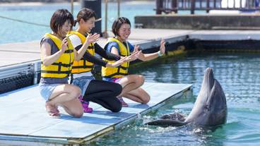 子供向けアクティビティ / 8