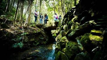 施設の敷地 / 29