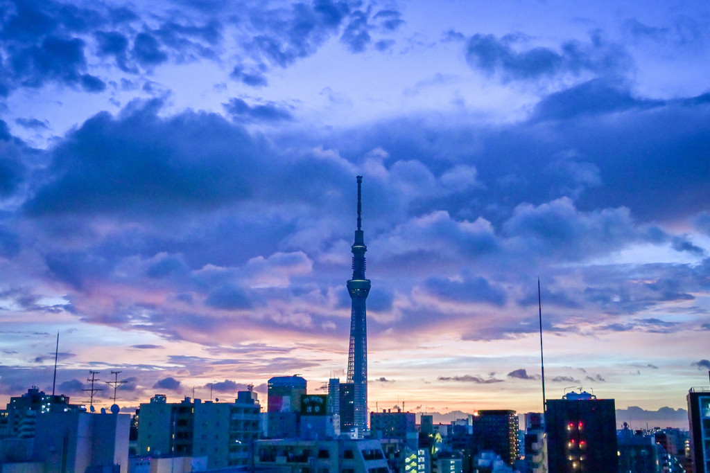 電車　女性　撮影協力「京王電鉄株式会社」