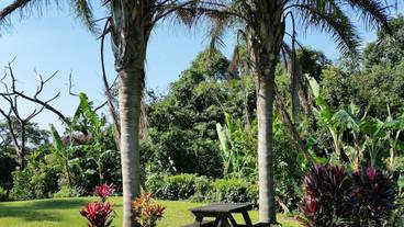 施設からの眺望 / 17