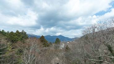 マウンテン ビュー / 8