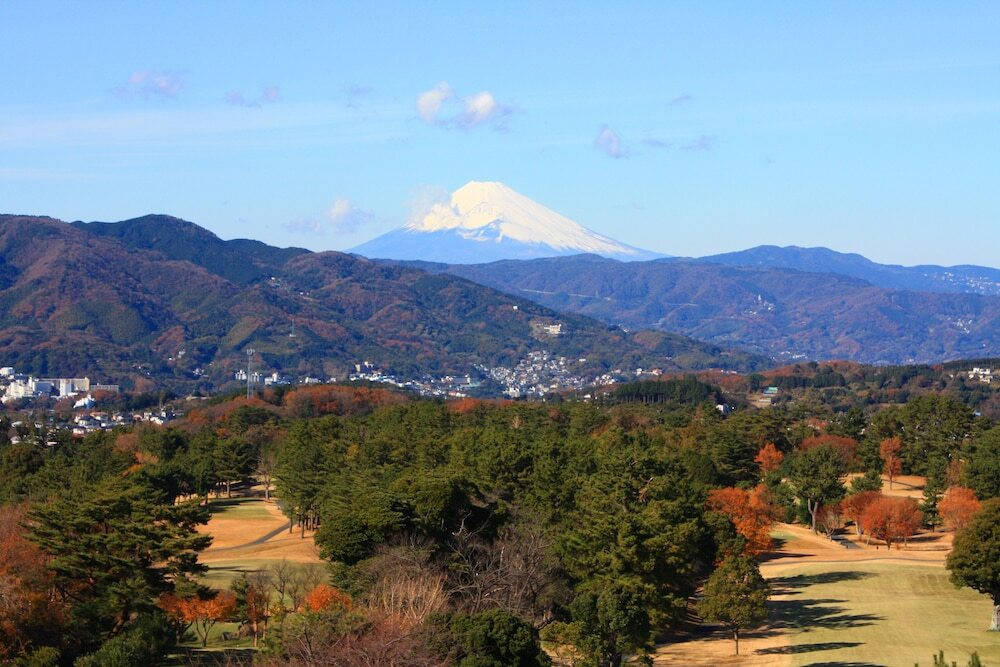 マウンテン ビュー