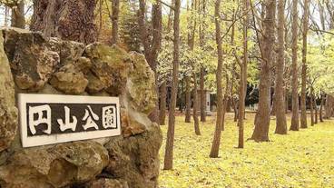 観光スポット / 13