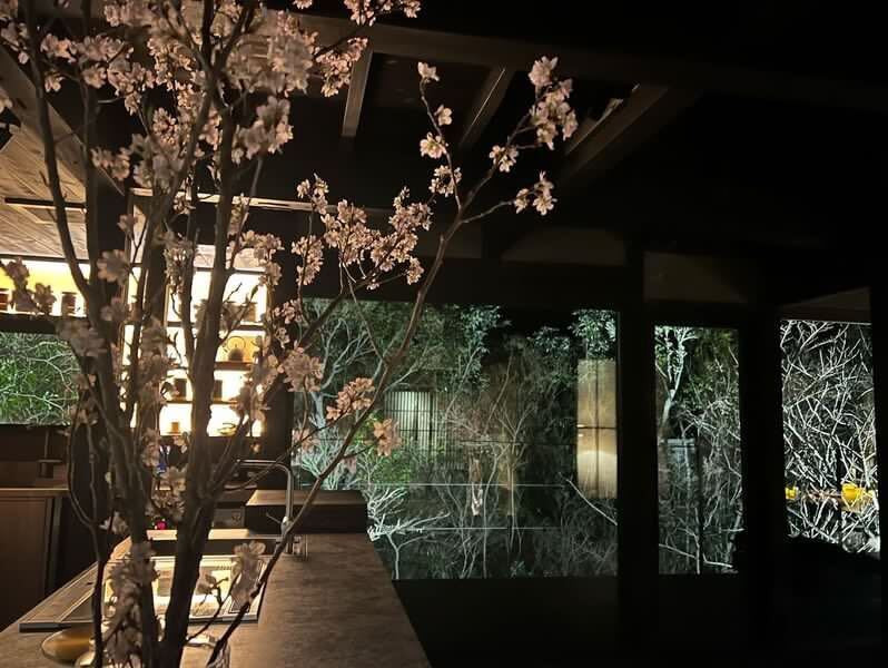 risa.y0303さんの写真 / 1