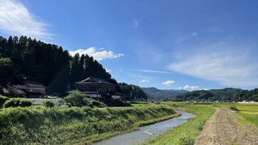 ランド ビュー / 20