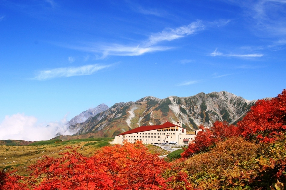 自然のアクティビティも楽しめる♪3354001