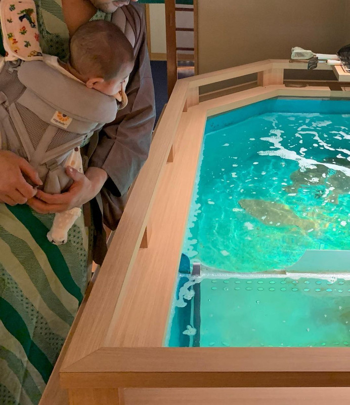 大きな生け簀には娘も釘づけ！