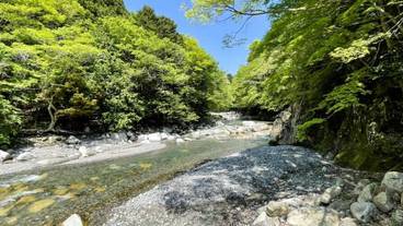 ランド ビュー / 22