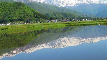 施設の敷地 / 11