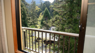 杜を眺める和室 禁煙（バストイレ付10畳）