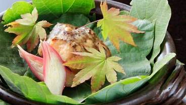 仙石原温泉 料亭旅館 いちい亭（センゴクハラオンセン　リョウテイリョカン　イチイテイ） / 2