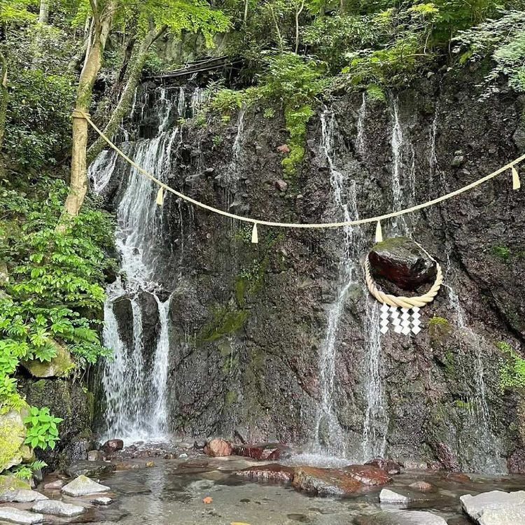 saho_bambi.0717さんの写真 / 2