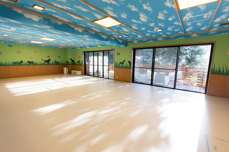 ドッグランで遊び尽くせる3925058