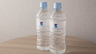 セミダブルルーム B シャワーブース付 禁煙