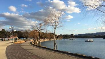 観光スポット / 11