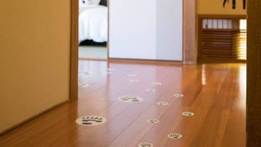 客室 / 32