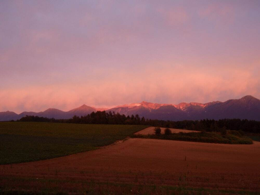 マウンテン ビュー