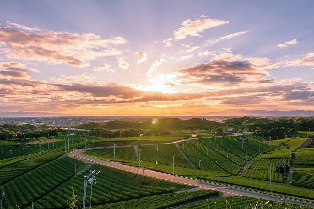 玉露の名産地！日常の疲れを一新してくれる宿4064729