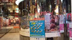 ホテル　レインボー