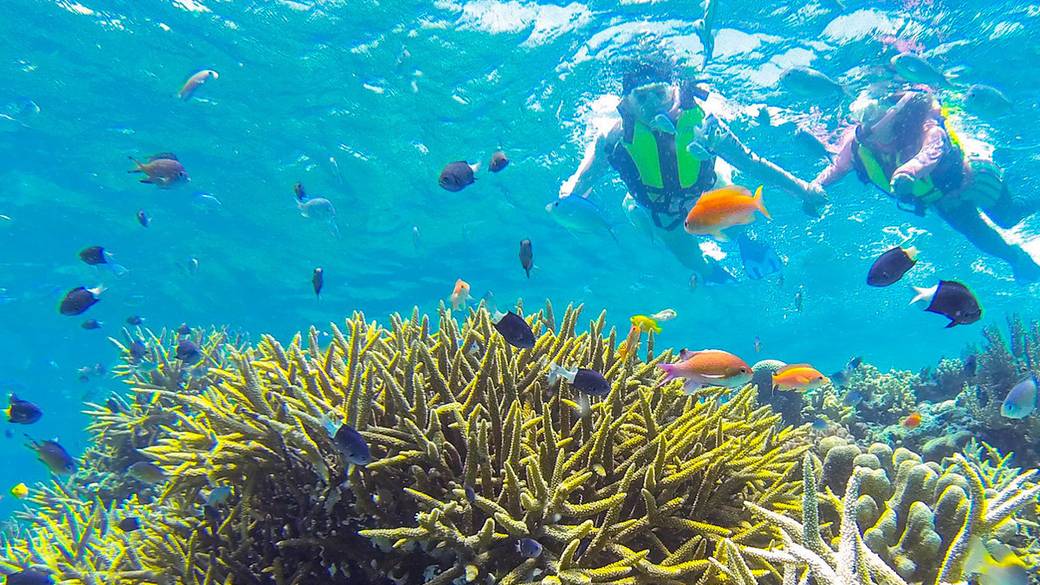 奥西表シュノーケル / 2