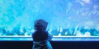 海を楽しむ「大洗」の子連れにおすすめホテル・旅館9選【茨城】