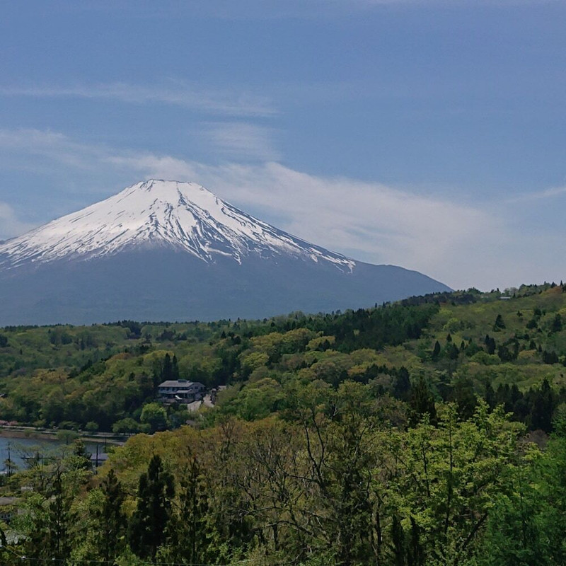 部屋からの景観