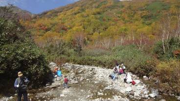 マウンテン ビュー / 8